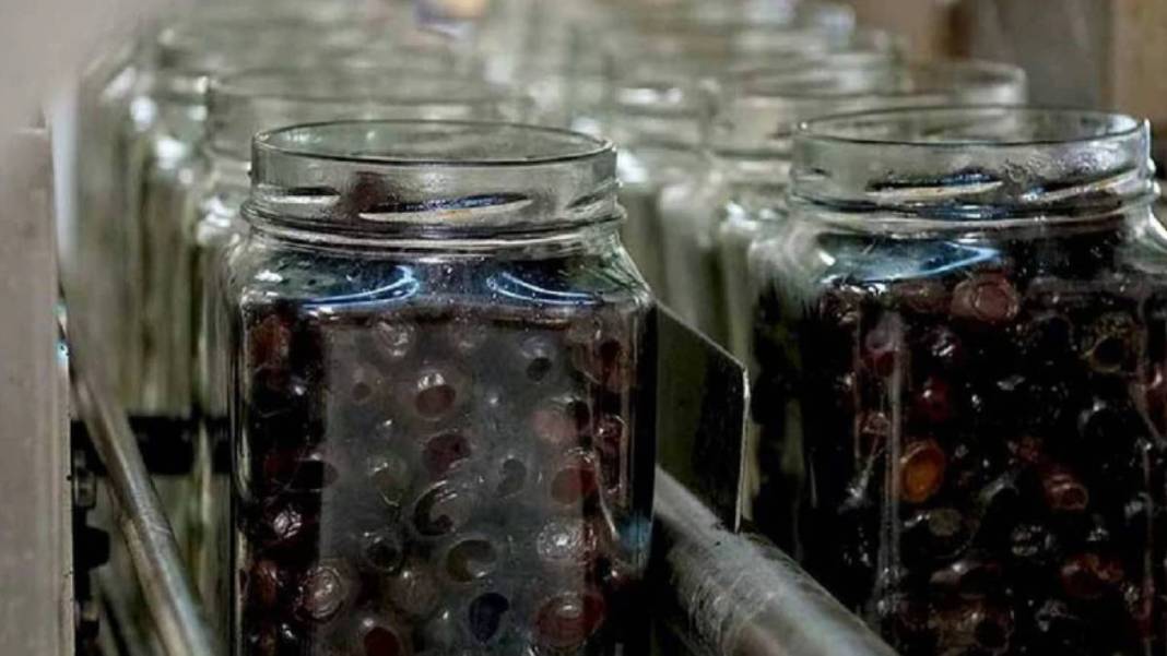 Herkes tarafından lezzetle yeniliyordu: Türkiye'de zeytin üretiminde lider firma konkordato talebinde bulundu! 3